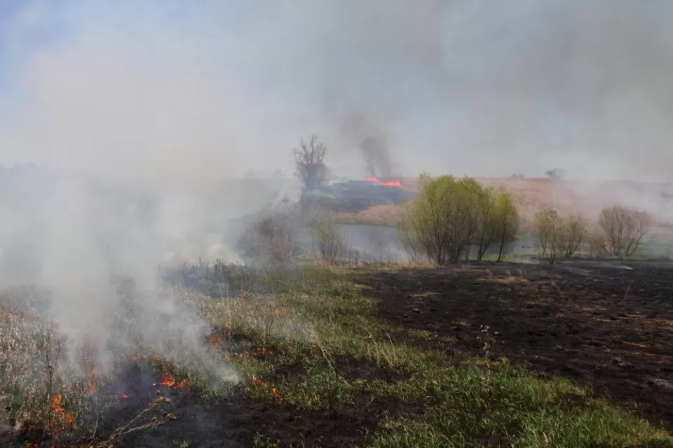 Plains Fire